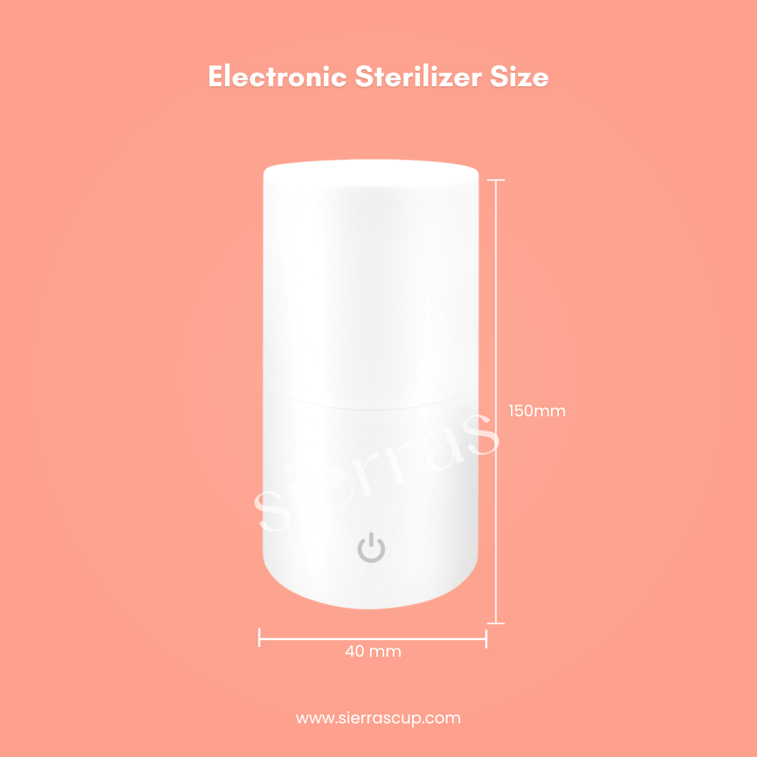 Electronic Steamer/Sterilizer